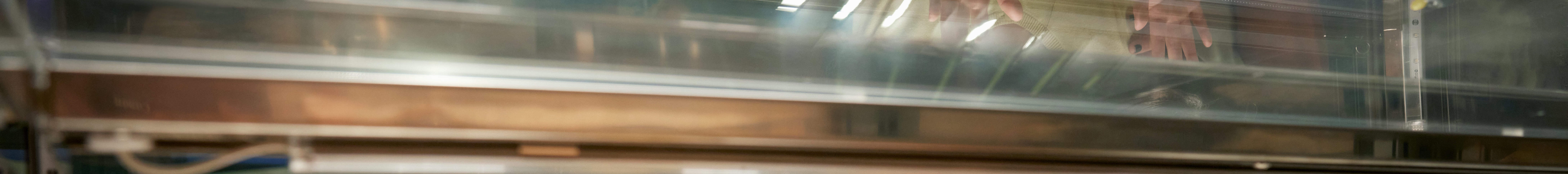 Mẹ và con gái nhìn thức ăn